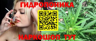 2c-b Будённовск