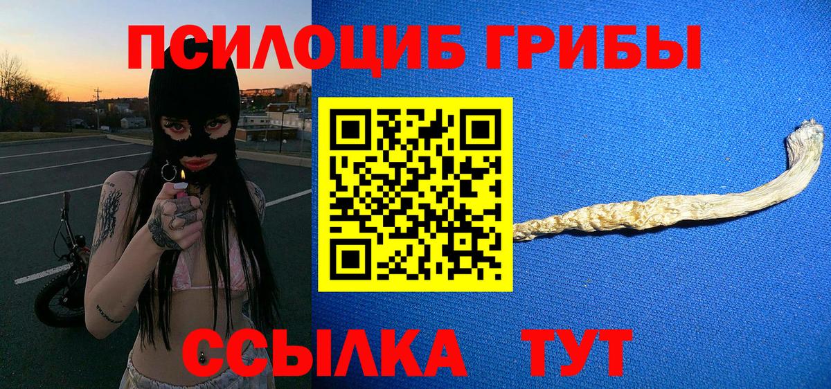 Галлюциногенные грибы GOLDEN TEACHER Урюпинск
