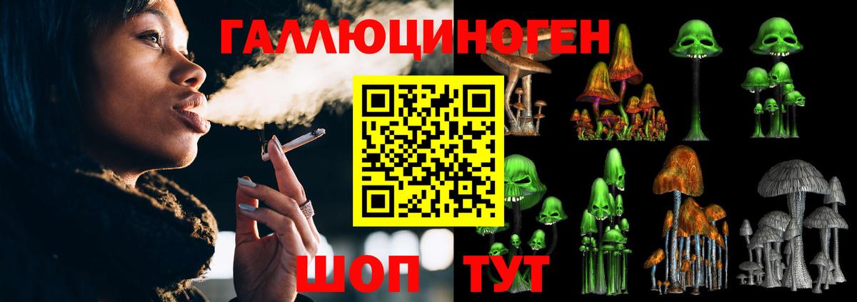 Псилоцибиновые грибы Cubensis  Вход с VPN  Урюпинск 